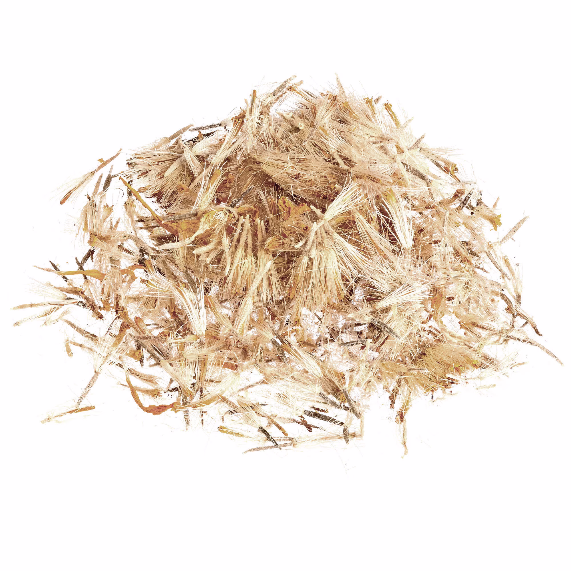 Arnica Flower | 1 Oz