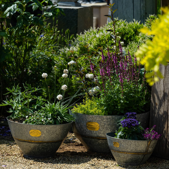 Urli Zinc Planter