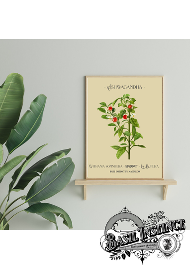 Ashwagandha Print - Art Botanical Kitchen Decor Home Unique Housewarming Gift