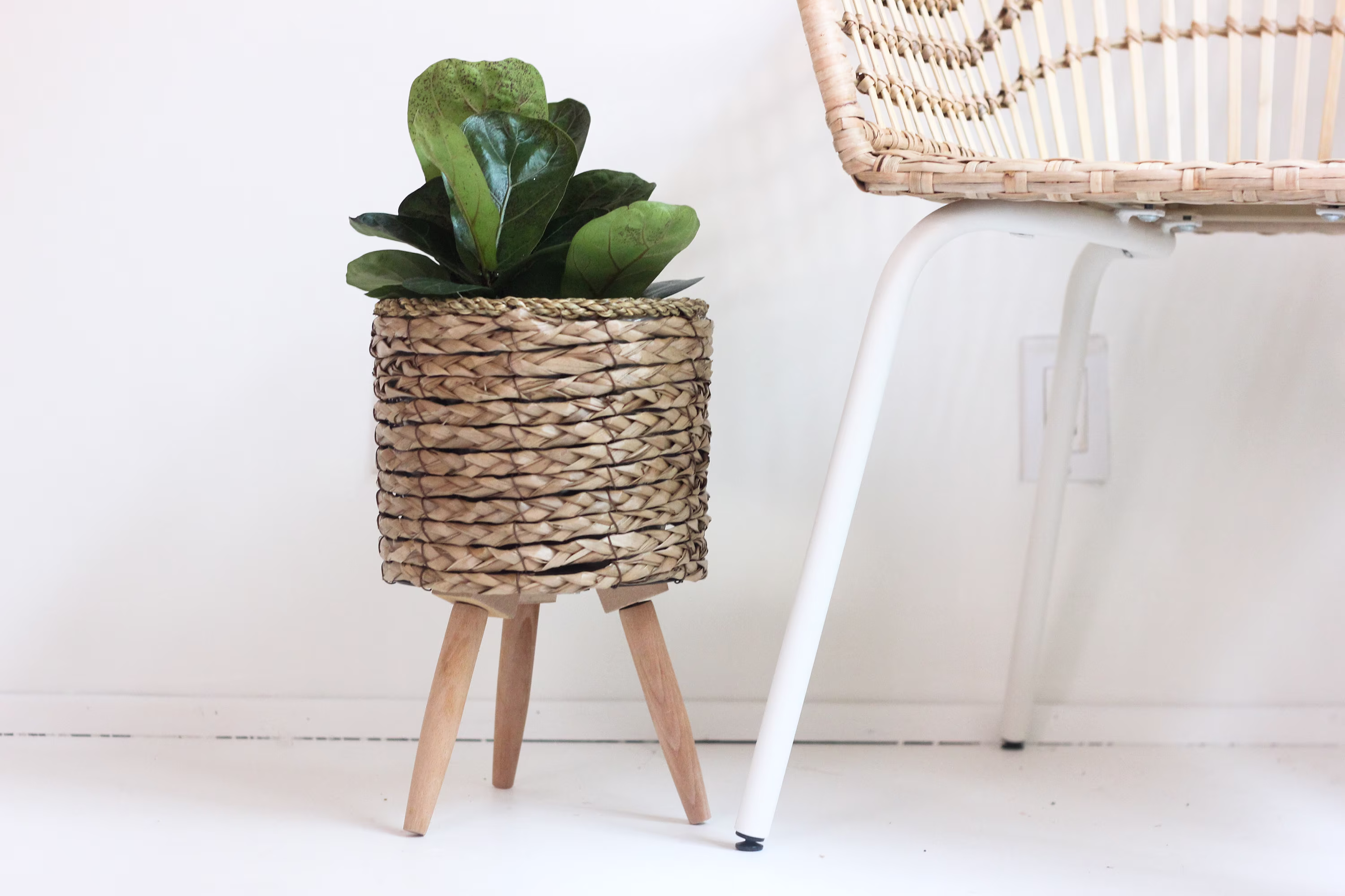 Last Chance Small Woven Cattail Plant Stand Standing Planter