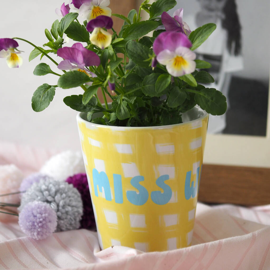 Summer Gingham Flower Pot For Teacher