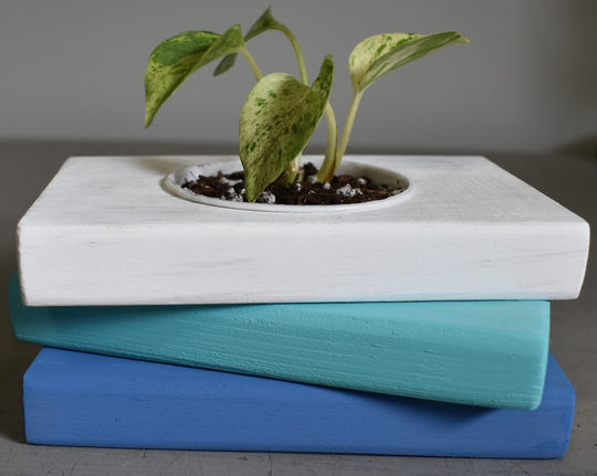 White & Blue Wooden Book Stack Planter, Summer Desk Accessory, Housewarming Gift, Lover Plant Cottage Decoration