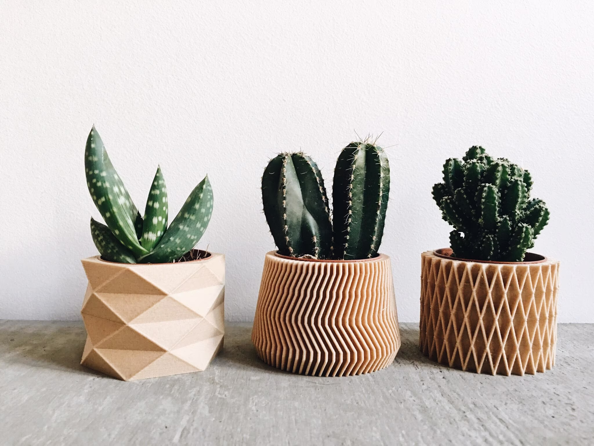 Set Of 3 Small Wooden Planters Perfect For Succulents Or Cacti