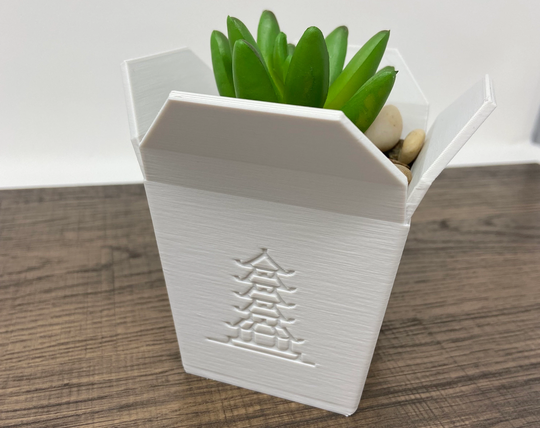 Chinese Takeout Planter, Succulent Cactus Carryout Planter