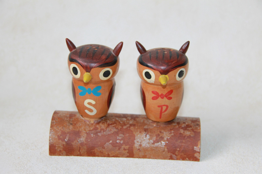 Wooden Owl Salt & Pepper Shakers - Wood Owls On Log Novelty And