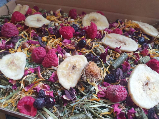 The Bird Zen Forage Box