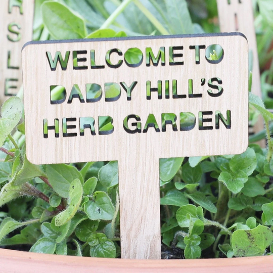 Set Of 7 Personalised Wooden Herb Garden Markers