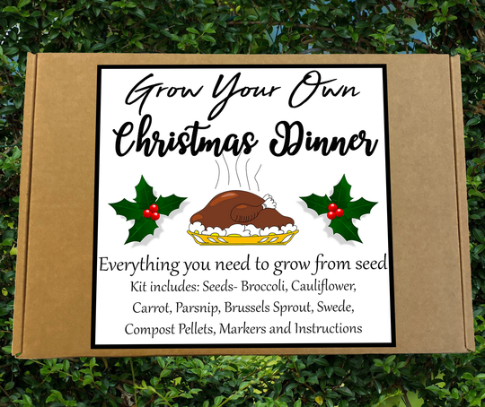 Grow Your Own Christmas Dinner Seed Kit | Gardening Box Birthday Gift Allotment Vegetables Sustainable Living