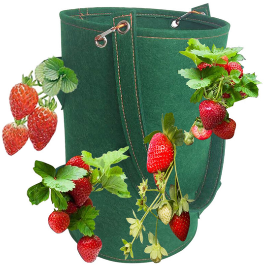 15 x 9 Inch Strawberry Grow Bags with 8 Grow Holes Hanging Planter Box Vegetable Grow Bag Breathable Vegetable Flower Growing Bag with Handles,Green