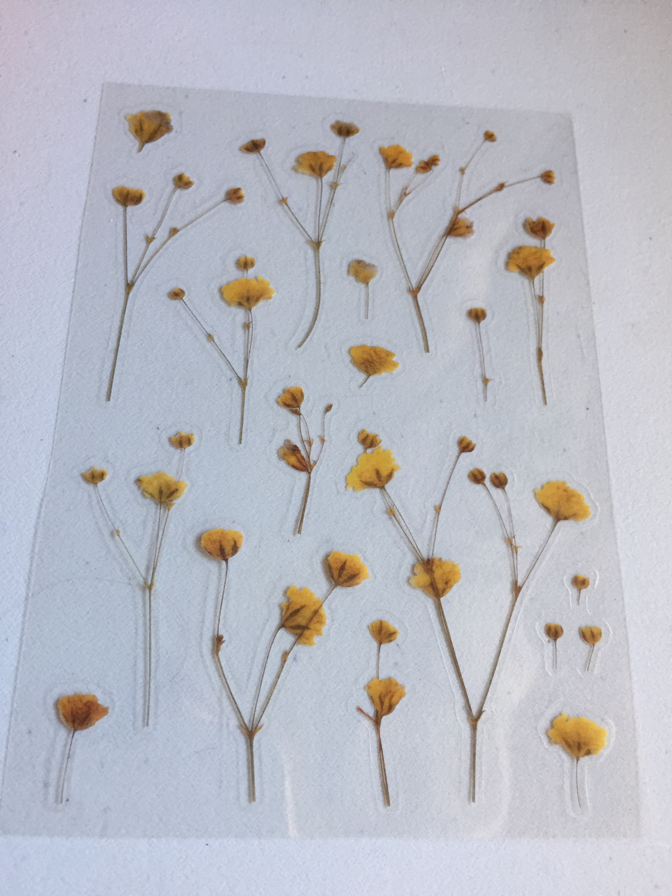 Yellow Gypsophila Plant Stickers, Baby Breath Flower Floral Planner Botanical Scrapbook/Crafting Stickers
