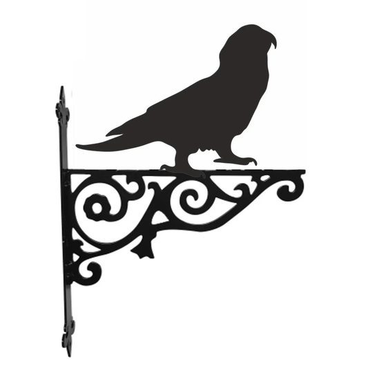Amazon Parrot Ornamental Hanging Bracket - Contemporary Basket Wall Mounted Decorative Garden Black
