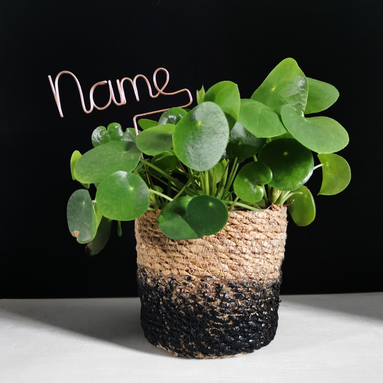 Personalised Name Plant Marker - Topper Lover Gift Customised Garden Herb Decor Home