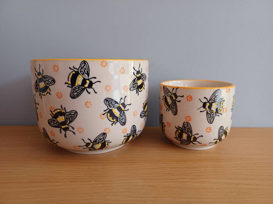 Bee Planters Set Of Two Plant Pot Flower Home Decor Gift Sass & Belle New Free UK Postage