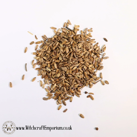 Milk Thistle Seeds - Herb Organic Natural Vegan Pagan Wicca Wiccan Spell Potion Ritual Magic Magick Energy Tea