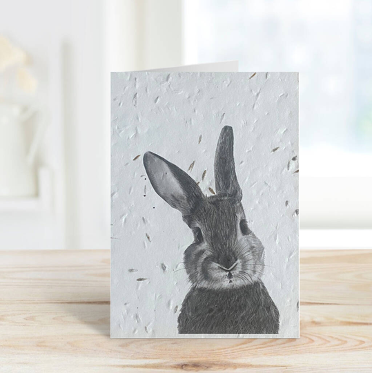 Bellatrix The Bunny Plantable Seeded Eco Greeting Card