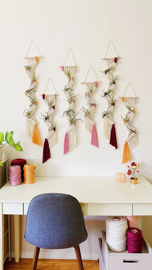 Air Plants & Plant Holder Set/Air Hanger/Macrame Hanger/Multiple Display/Air Terrarium/Plant Hanger