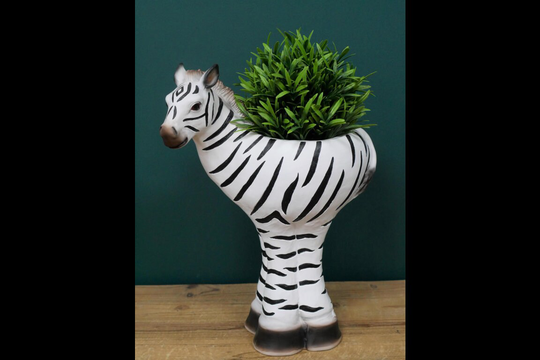Zebra Indoor Planter