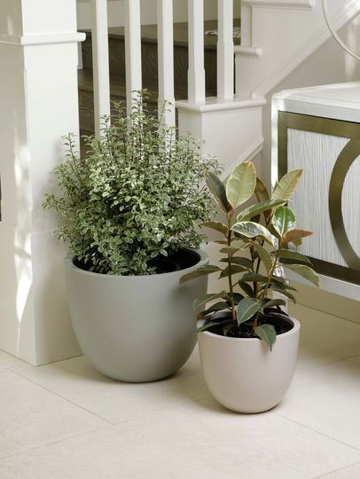 Indoor/Outdoor Large Nordic Minimalist Fiberstone Lightweight Round Planter Pot - 17, 14, 11 Inch Matte Finish Suitable For Ficus Alii