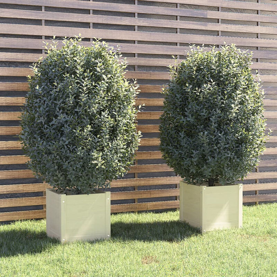 Asupermall - Garden Planters 2 pcs White 40x40x40 cm Solid Pinewood