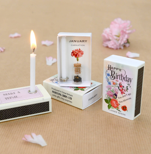 January Birth Flower Seeds And Birthday Candle Gift