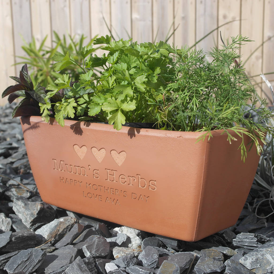 Engraved Message Terracotta Window Pot