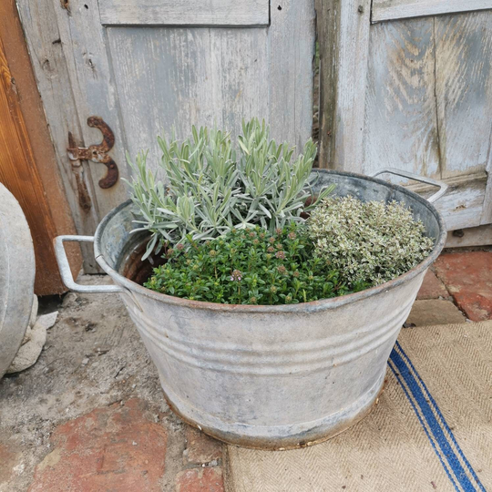 Galvanised Vintage Metal Water Bucket, Planter With Handles. Garden Decor Herb Pot
