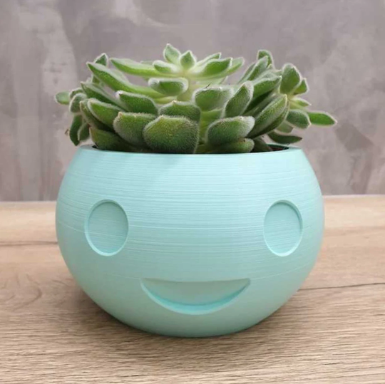 Smiley Face Planter | Happy Plant Pot 3D Printed Mini Novelty Gift
