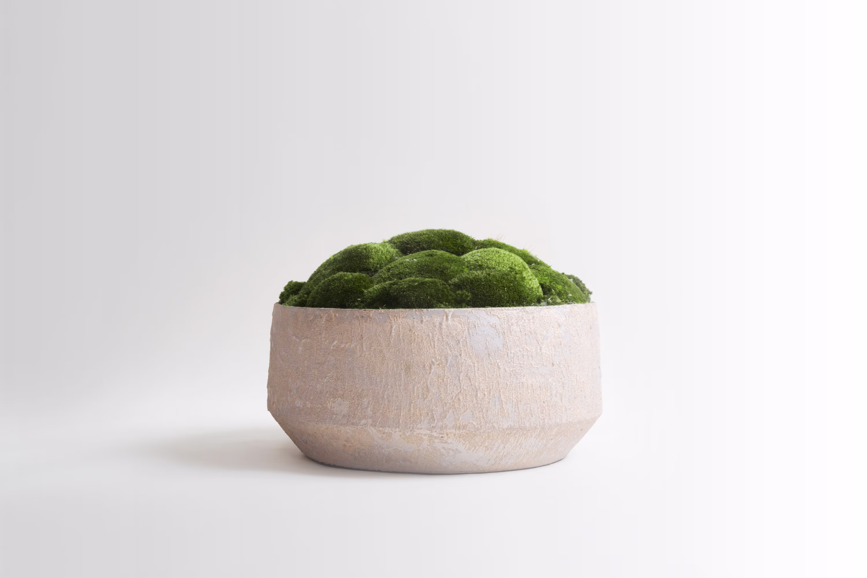 Rustic Luxe Moss Bowl White