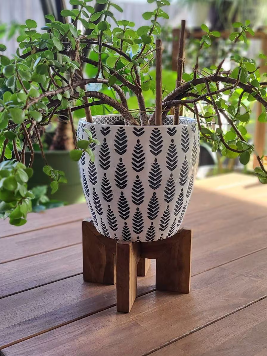 Small Wooden Compact Plant Base
