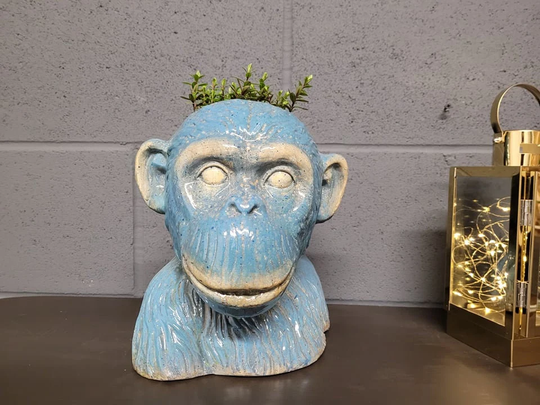 Monkey Planter Blue Ape Chimp Animal Plant Pot Shelf Desk Ornament