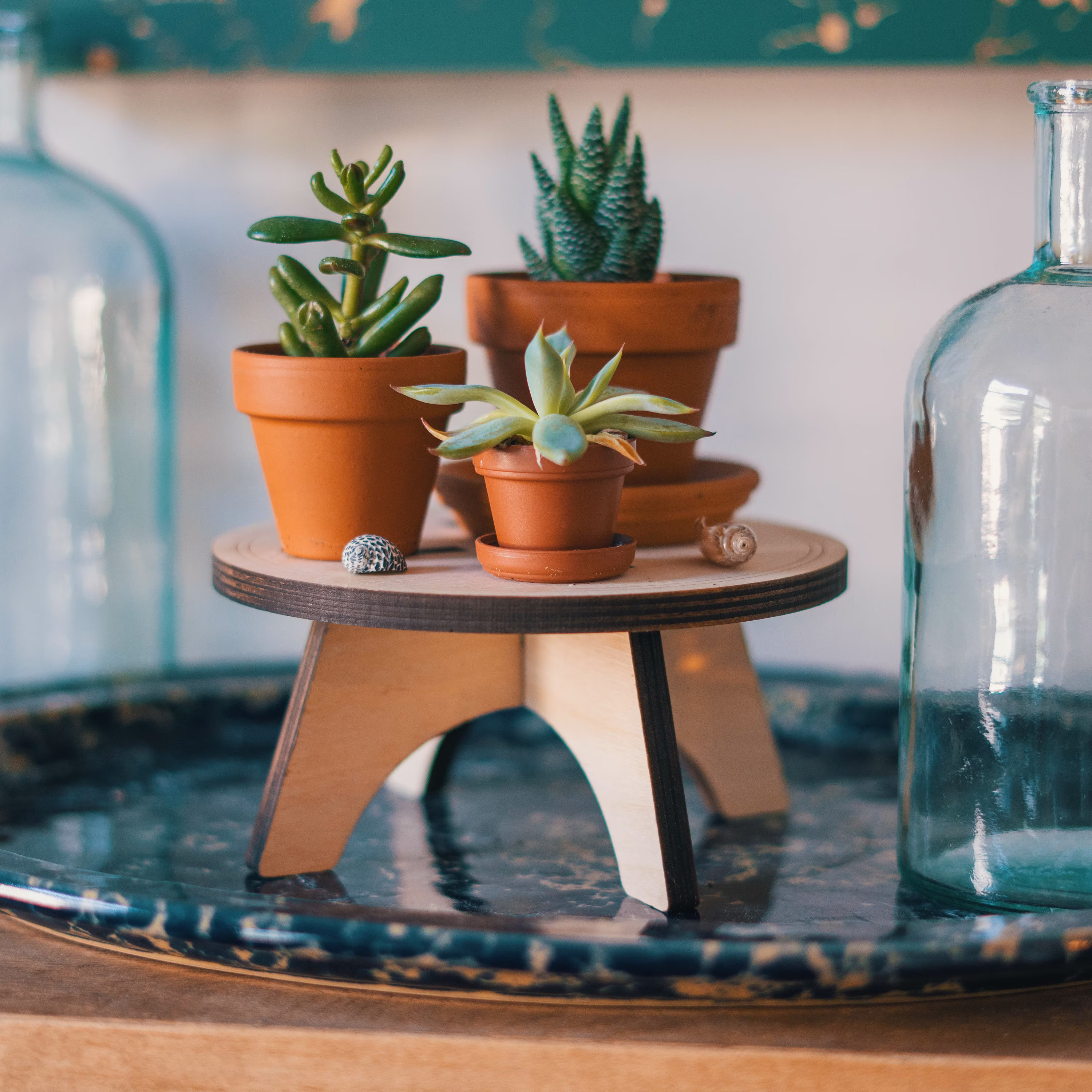 Mid Century Modern 6