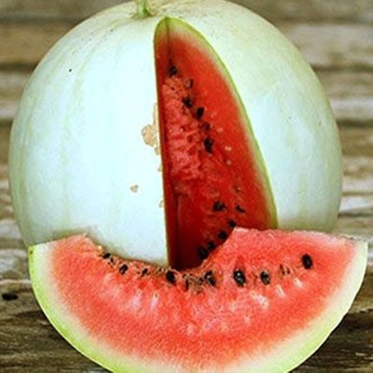 Watermelon Ruby Heart Seeds Heirloom Non Gmo For Planting | 203893