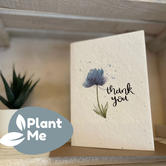 Plantable Thank You Cards A6 Seed Cards Eco Friendly Gift