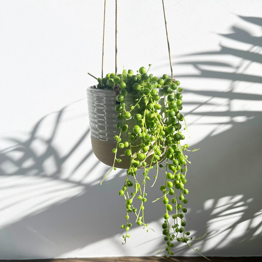 Rustic White Half Glazed Hanging Planter - Indoor Plant Pots Boho Nordic Decor Gift For A Lover