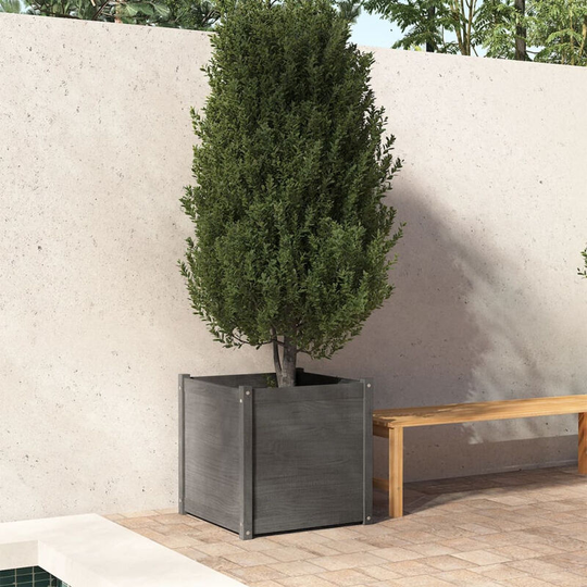 Asupermall - Garden Planter Grey 60x60x60 cm Solid Pinewood
