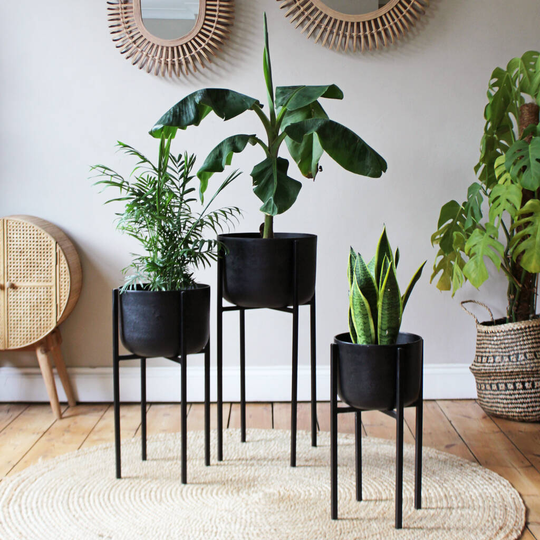 Black Oxidised Planters