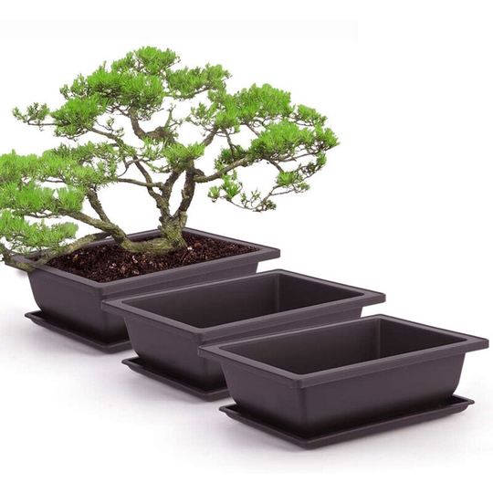 3 Pieces Rectangle Plant Pot, Plastic Bonsai Training Pots, Flower Succulent Pots with Trays Planter Container Durable Plants Growing Pots for