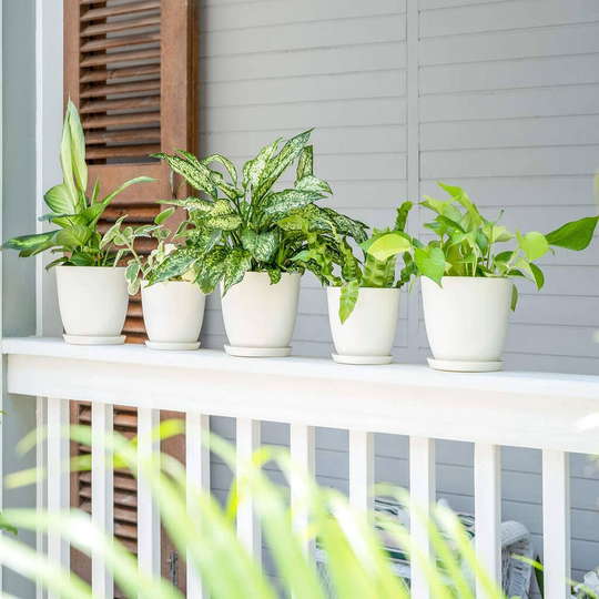 Pack Of Three Plastic Pots Flower Planter With Saucers