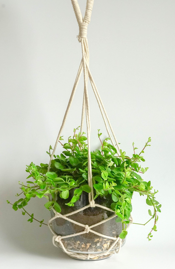 Macrame Hanging Planter Plant Pot With A Rope