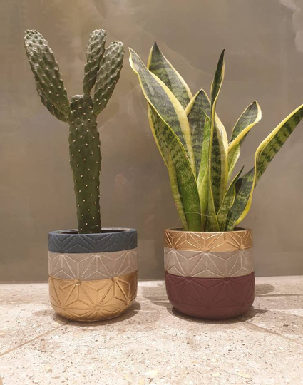 Abstract, Geometric Concrete Pots | Set Of 2 Plants, Planters Grey, Navy, Gold, Plum Small 11cm Sustainable + Eco Friendly