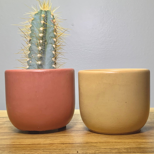 Medium Concrete Planter Set Of 2 | Minimalist Plant Pot Boho With Drainage Modern Indoor Flower 3 Inch Pots