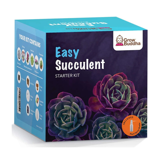 Plant Growing Kit, Seed Starter Kit, Succulent Plants Germination Kit Including Premium Plant Pot, Natural Seeds Beads