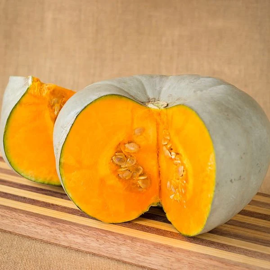 Pumpkin Volga Gray Seeds