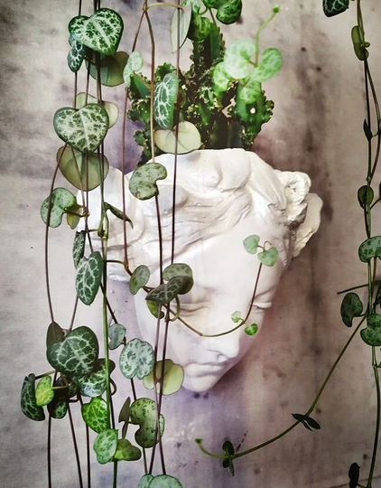 Head Hanging Wall Pot For Succulent "Art Deco Head