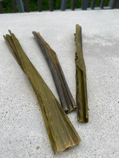 Seaweed Kelp