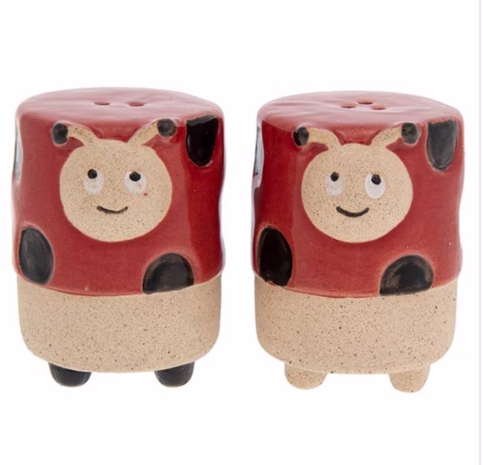 Ladybird Lady Bug Salt & Pepper Shaker Cruet Set By Pot Pals Set Of Two Pottery Novelty Gift Free UK Postage