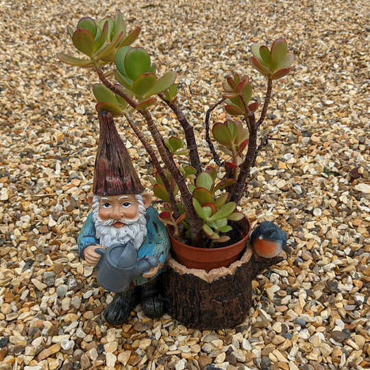 Gnome Planter With Watering Can & Robin Resin Garden Ornament