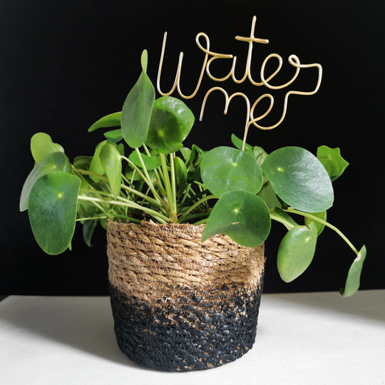 Water Me Plant Marker - Topper Garden Herb Decor Gift Home