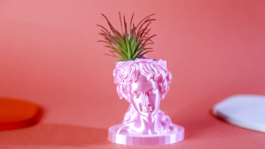 Bust Head Plant Pot|Bust Sculpture|Sculpture Planter|Indoor Planter| Succulent Desk Planter|Desk Decor|Indoor Garden| Theaeliana