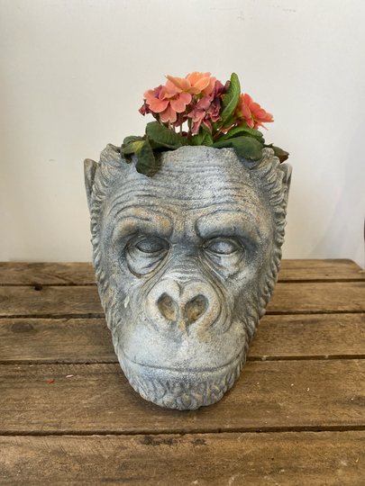 Reconstituted Stone Gorilla Head Pot Planter Monkey Chimpanzee Garden